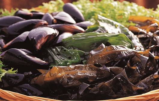 해조류는 다이어트에 도움 되는 것 외에도 다양한 효능을 가지고 있다 |출처: 클립아트코리아