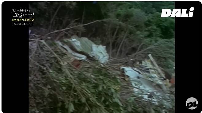 아시아나항공 733편 추락사고 현장. /사진=SBS 달리 유튜브 캡처