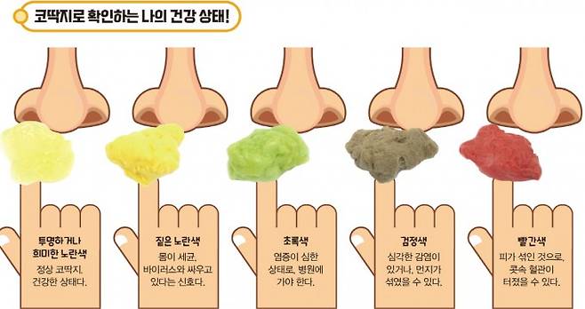 코딱지로 확인하는 건강상태. 게티이미지뱅크, 어린이과학동아 제공