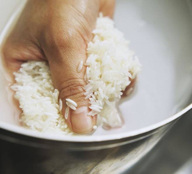 온도와 습도가 높은 여름철에는 쌀을 냉장 보관을 하는 것이 좋다./사진=클립아트코리아