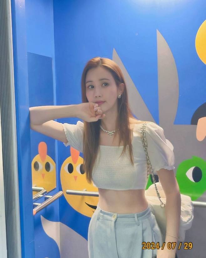 이다해 소셜네트워크서비스 계정