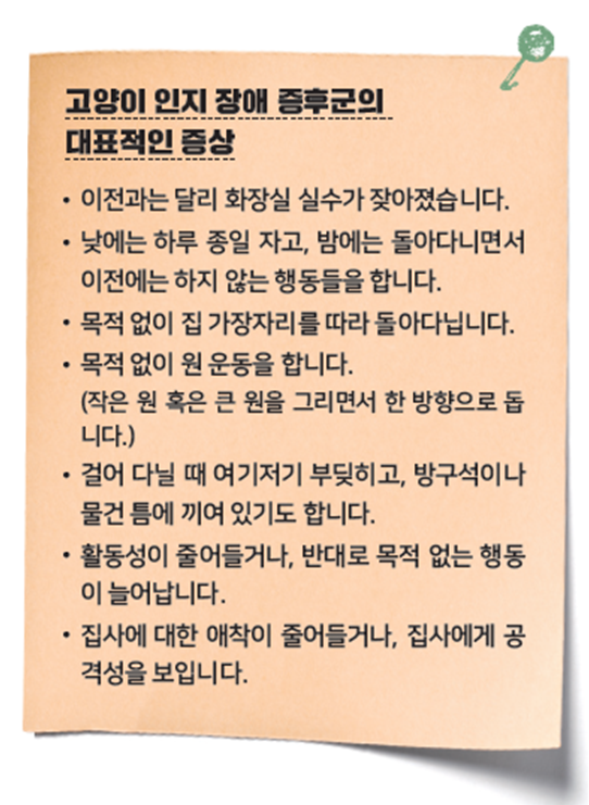 '24시간 고양이 육아대백과' 저자 제공