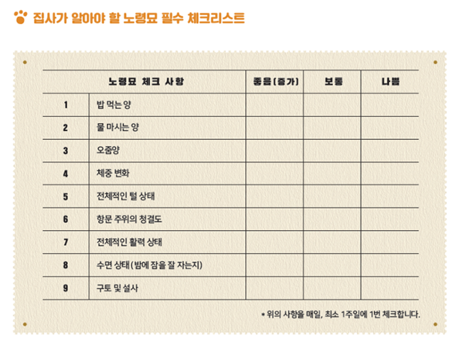 '24시간 고양이 육아대백과' 저자 제공