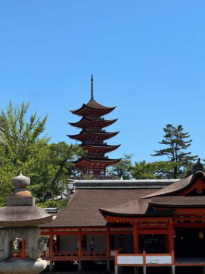 7eed8702b0821bfe23ee85e1349c7068c21e5f6eac428ec8388c2d566f9b7c8672bda706265f48dddcb786aaa8b39a5b6e744478f0