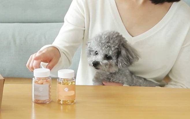 반려동물에게 사료를 주식으로 먹일 때, 영양제를 따로 먹여야 할까. 전문가들은 이 경우 '영양과잉'을 우려했다. (사진 이미지투데이) ⓒ 뉴스1