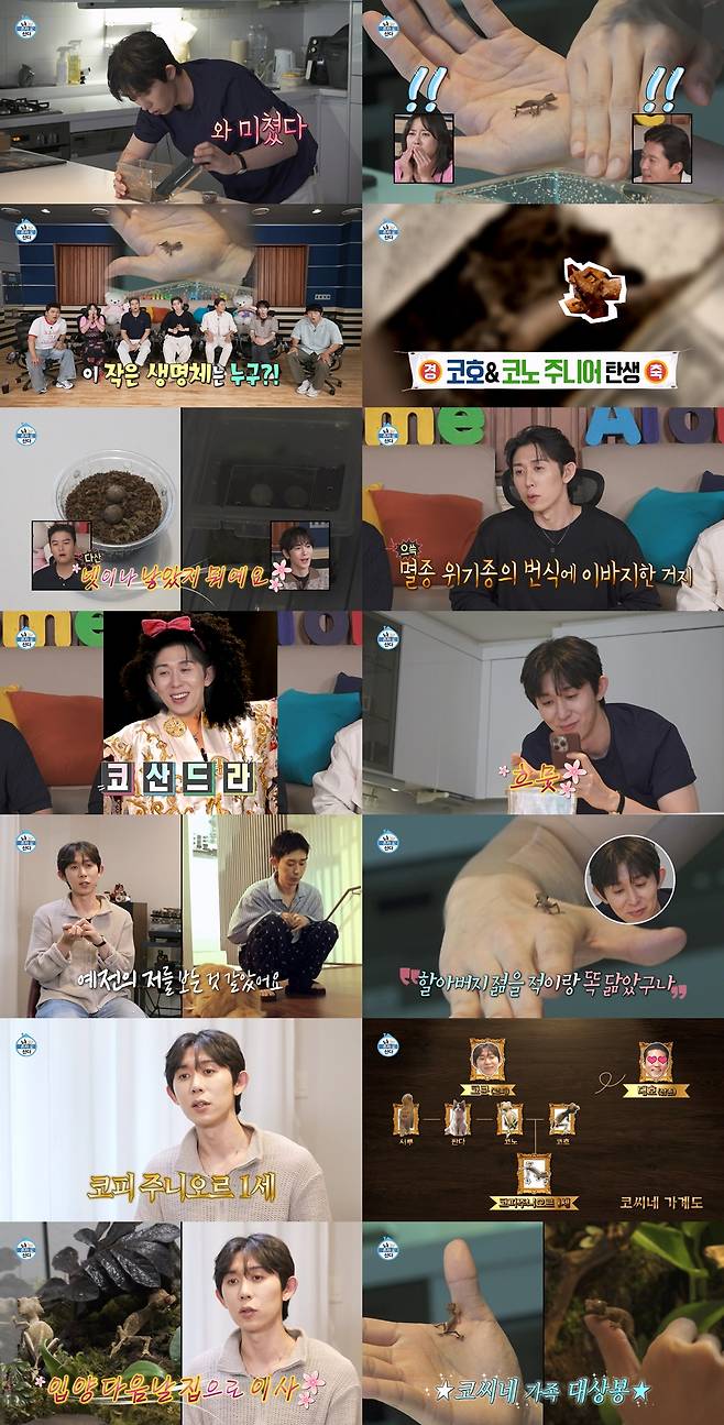 MBC '나 혼자 산다'