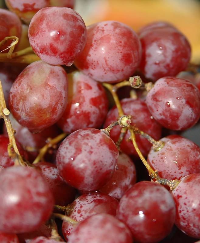 사진=게티이미지뱅크