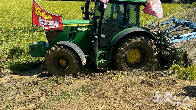 전국농민회총연맹 광주·전남연맹에서 논 갈아엎기 투쟁하는 트랙터가 벼를 갈아엎고 있다. 김수진 기자