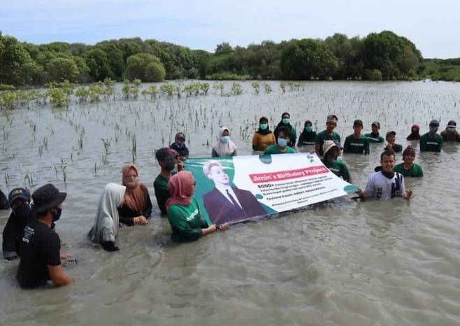BTS 지민의 생일을 맞아 인도네시아 팬이 맹그로브 묘목 1000그루를 심자는 제안을 해 9일 만에 1800여명 기부로 베노도 마을에 8375그루를 심는 장면. /조선일보DB