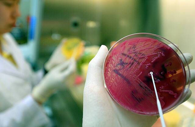 해당 기사와 직접적인 관련 없음. 경기일보DB