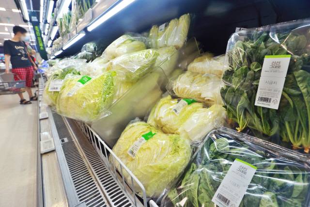추석을 앞두고 채소 가격이 상승세를 보인 26일 서울 시내 한 대형마트에서 시민이 장을 보고 있다. <연합뉴스>