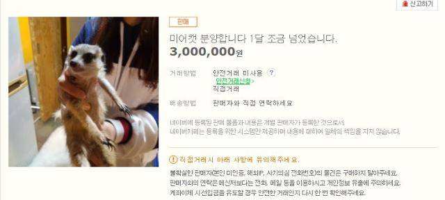온라인 한 카페에 미어캣 한 마리를 300만 원에 판매한다고 올라와 있다. 온라인에는 미어캣뿐 아니라 북극여우, 라쿤 등 야생동물들이 매매나 사육기준 없이 거래되고 있다. 온라인 카페 캡처