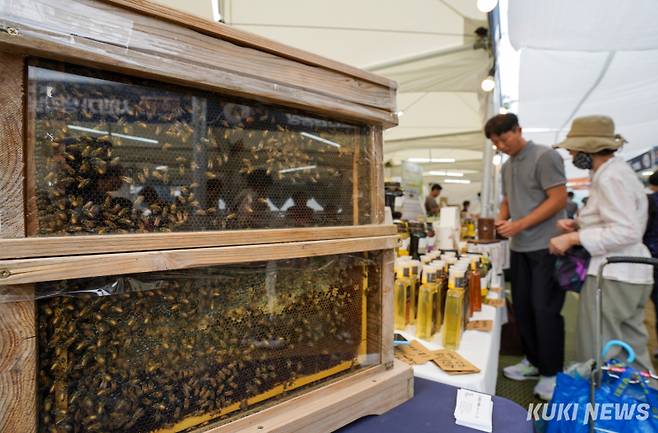 2일 서울 중구 서울광장에서 열린 '2024 추석 농수특산물 서울장터'에서 한 관계자가 벌꿀을 판매하고 있다.