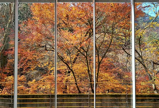 의재미술관 통창은 자연을 끌어들여 실경 6폭 병풍이 된다.