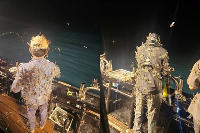 지난 8일 자정쯤 제주 제주시 김녕 앞바다에서 선상 낚시를 하던 블레스호에 잠자리 수만마리가 날아들었다. 사진은 낚시꾼 몸에 달라붙은 잠자리떼. 제주블레스호 제공