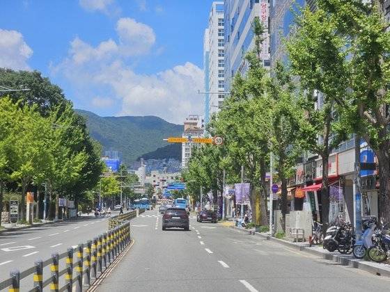 부산 서구 동아대 부민캠퍼스 앞에 설치돼있는 후면 단속 카메라. 자동차 뒷면을 찍을 수 있게 제작돼 오토바이 등 이륜차의 신호위반, 과속, 안전모 미착용 등 위법 행위를 적발할 수 있다. 사진 부산경찰청