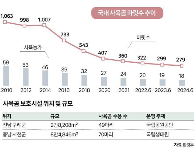 국내 사육곰 마릿수 추이. 그래픽=박구원 기자