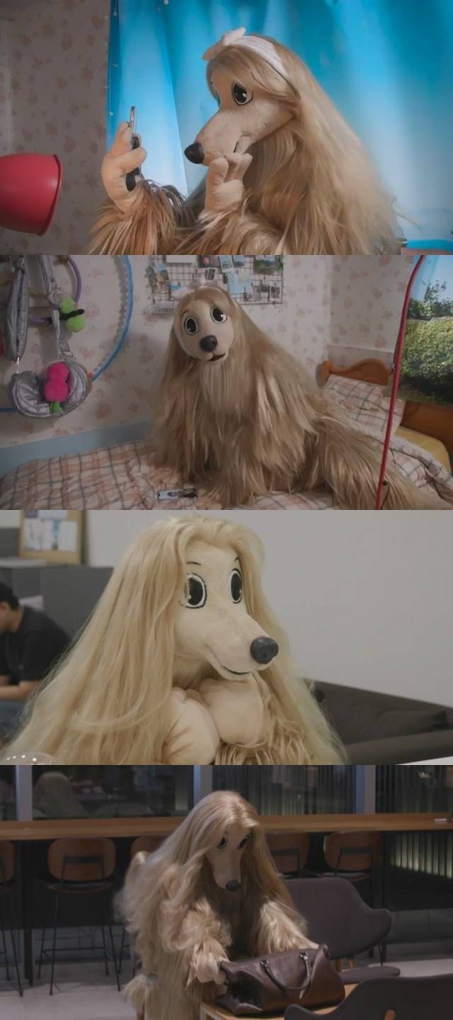 JTBC ‘긍정왕 김땅콩’