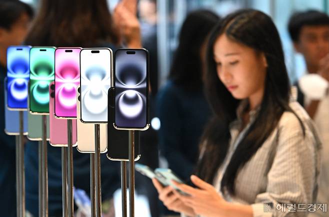 애플 아이폰16 시리즈 국내 공식 출시일인 지난 20일 오전 서울 중구 명동 애플스토어에 아이폰16이 전시되어 있다. 임세준 기자