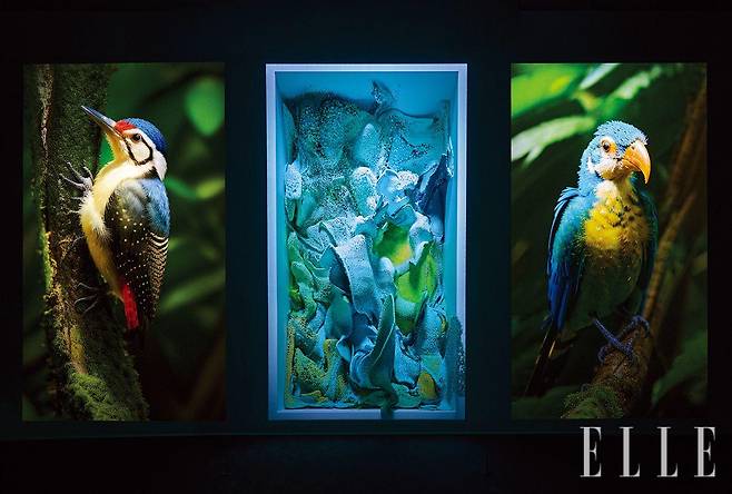 2개 층을 연결해 10.8m 높이로 이뤄진 전시실, 갤러리 4에서는 3개의 대형 화면과 스피커를 통해 ‘기계 환각 - LNM: 동물 Machine Hallucinations - LNM: Fauna’을 보고 듣는다.