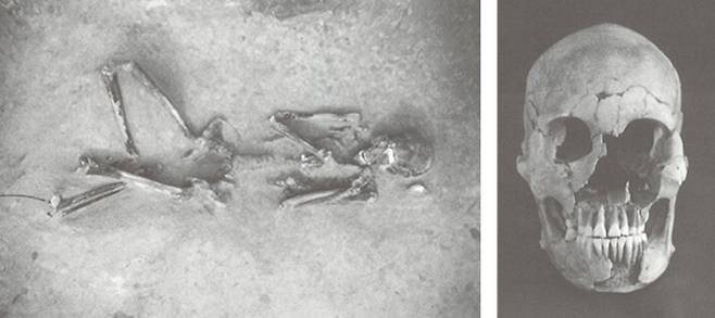 DNA 추출에 사용한 2300년 전 야요이시대 일본인 유골. 키 149cm의 장년기 여성으로 추정된다. 도쿄대 제공