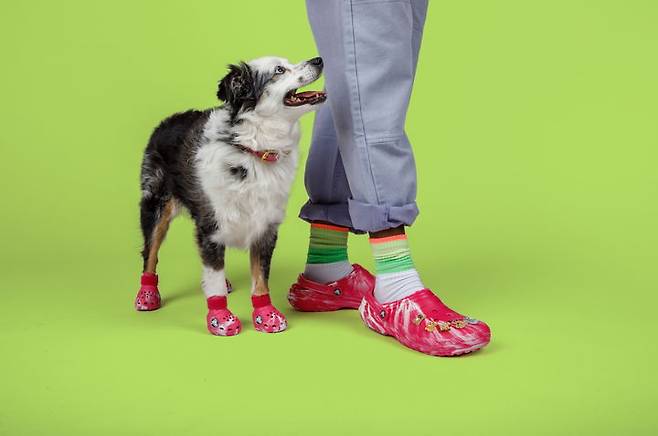 (사진=크록스 제공) *재판매 및 DB 금지