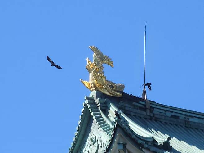 7fed8272b4826af751ee85e74285747312b670d89f77c44f609fb4694129a96e