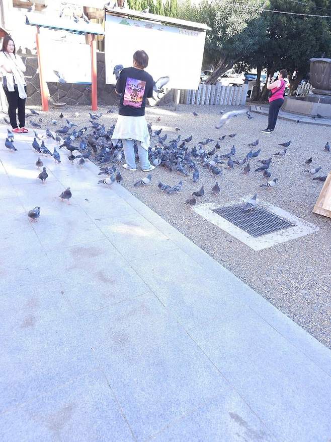 3fb8c32fffd711ab6fb8d38a4483766d360e9a7077a81be96984cccf49f3608f5b1e37dcb49e338b38a5be660d0f