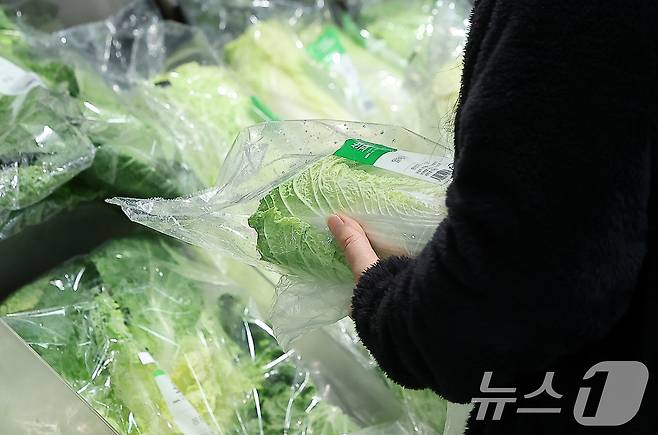서울 시내 한 대형마트를 찾은 시민이 배추를 구매하는 모습. 2024.10.22/뉴스1 ⓒ News1 김진환 기자
