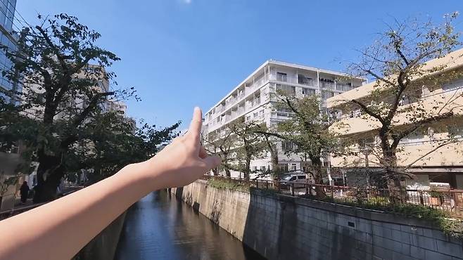 gWBPlW 한화 1억3천에 매입한 도쿄 나카메구로의 60년 된 아파트 리모델링.jpg