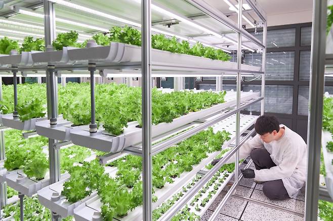 현대건설이 첨단 AI 기술을 접목한 'H 시리즈'를 입주가 완료된 힐스테이트 단지에 적용했다. 사진은 AI 밀폐형 재배 시스템이 적용된 H 클린팜 내부 모습. /사진=현대건설