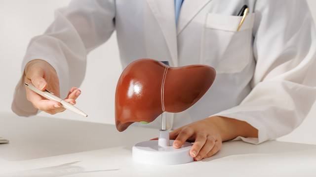 지방간은 대사 질환이 동반되는 사례가 많고, 드물지만 간암으로까지 이어질 수 있어 주의가 필요하다 |출처: 클립아트코리아