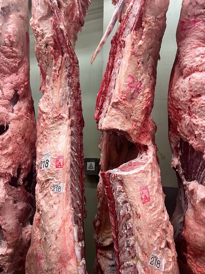 동원홈푸드가 9300만원에 낙찰받은 한우. <동원홈푸드>