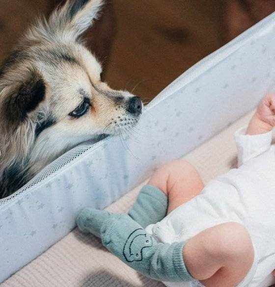 사진 빈지노 인스타그램