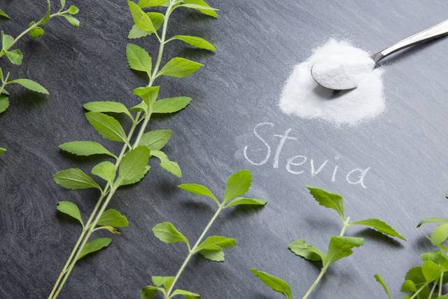 사진은 기사의 특정 내용과 관련 없음. 이미지투데이