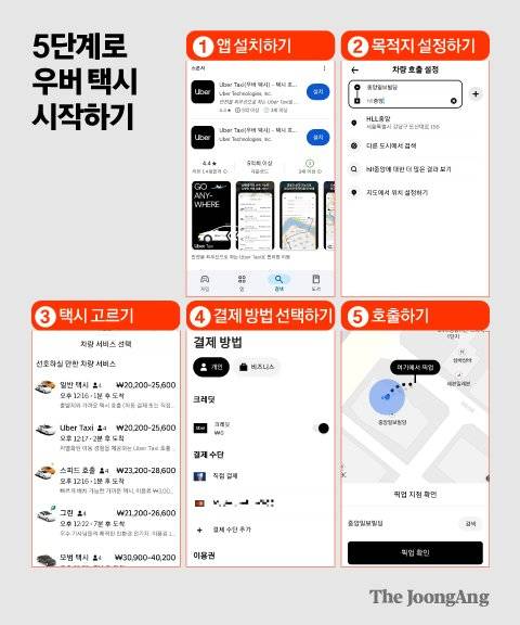 김영희 디자이너