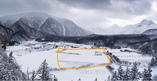 파크골프장 조성예정부지인 울릉나리분지 설경(헤럴드 DB)