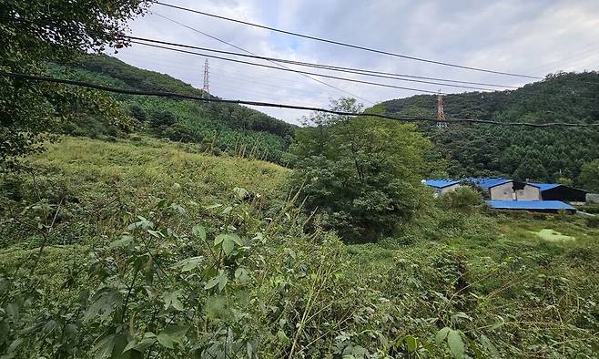 2023년 3월 타이 출신 이주노동자 분추 프라바세눙이 사망 뒤 농장주에 의해 버려졌던 경기 포천의 한 야산. 김채운 기자 cwk@hani.co.kr