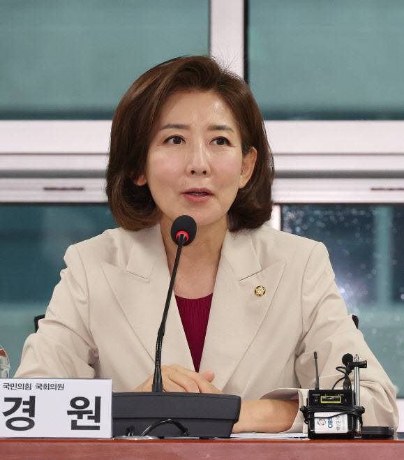 나경원 국민의힘 의원(사진 = 연합뉴스)