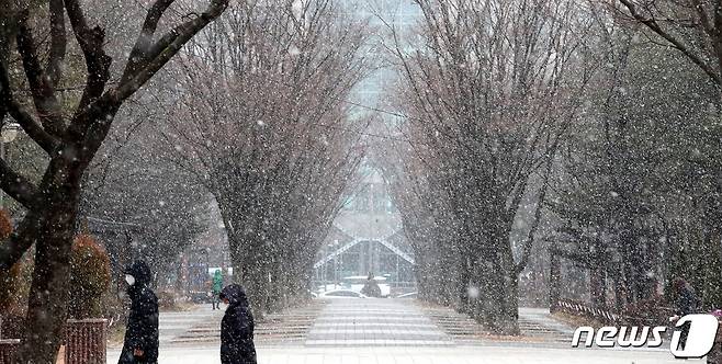(대전ㆍ충남=뉴스1) 최형욱 기자 = 15일 대전·충남엔 새벽부터 오전 사이 대부분의 지역에 비 또는 눈이 내릴 것으로 예보됐다. 대전 서구 보라매공원 일대에서 시민이 눈을 맞으며 이동하고 있다. /뉴스1 ⓒ News1 김기태 기자