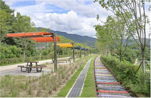 치악산 바람길숲. 원주시