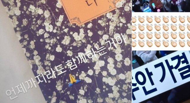 탄핵소추안 가결 직후 연예인 SNSⓒ서현, 고민시 SNS 캡처