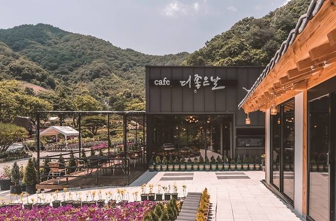 화개면 더 좋은 날 / 사진 = 하동군