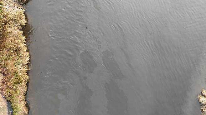 인도 파니파트의 심라구지란 마을 인근 하천 모습. 부유 물질이 떠다닌다. 인근 헌 옷 재활용 산업 단지에서 옷을 표백하고 난 폐수를 하천에 버린다. 한겨레 조윤상 피디