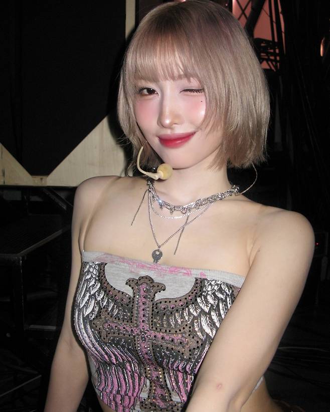사진출처=모모SNS