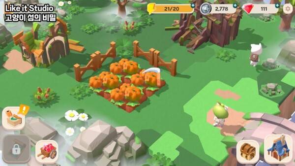 고양이의 섬의 비밀