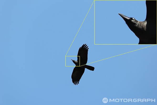 EOS R5 Mark II + RF70-200mm F2.8 L IS USM Z || 200mm, F4.5, 1/500s, ISO 100