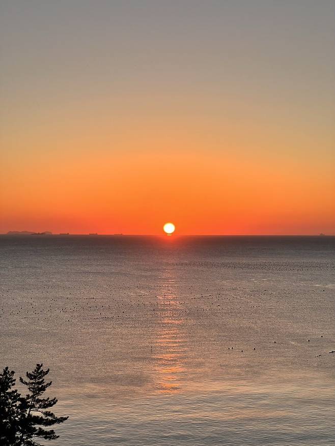 IMG_7321.jpeg 여수 새해 해맞이 여행