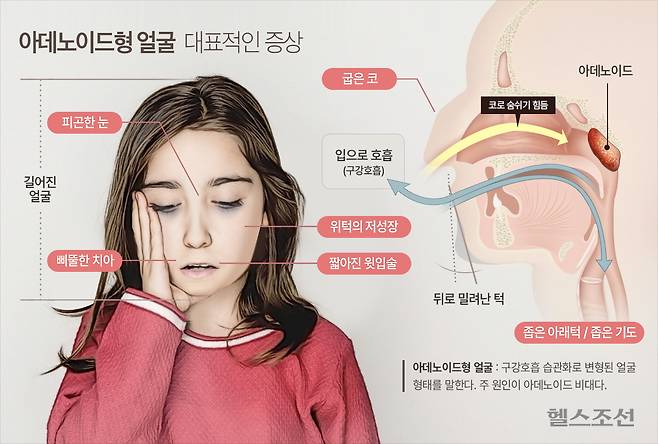 그래픽=김남희