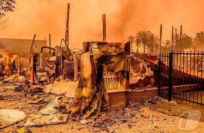 8일 (현지시간) 산불이 발생한 캘리포니아주 앨터디너에서 잿더미가 된 애완동물 가게가 보인다. 2025.01.09 ⓒ AFP=뉴스1 ⓒ News1 우동명 기자